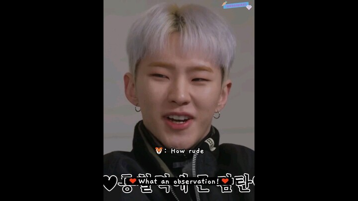 hoshi's comment about seungkwan's response that made everyone laugh 😂🤣 #seventeen #hoshi #GOING_SVT