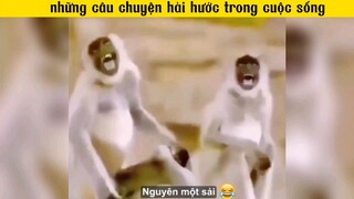 có cái bồn cầu như vậy chắc khóc quá🤣