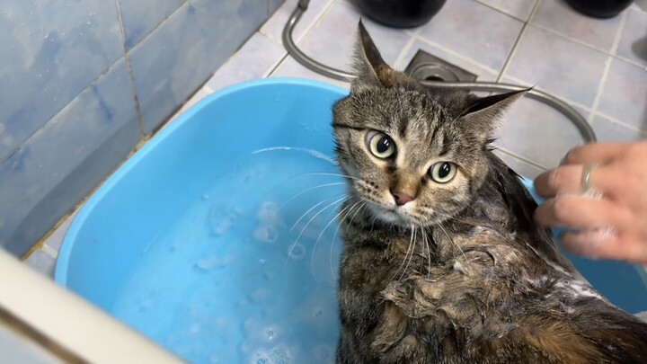 Gadis Cantik Mandi [Tepuk Tangan]