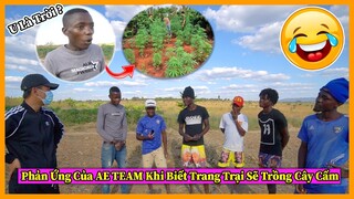 Quanglinhvlogs || Phản Ứng Của Anh Em Team Châu Phi Khi Biết Trang Trại Sẽ Trồng Cây Cấm ?