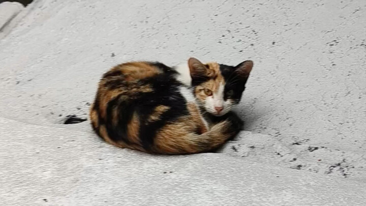 Buka Pintu: Ambil Seseorang