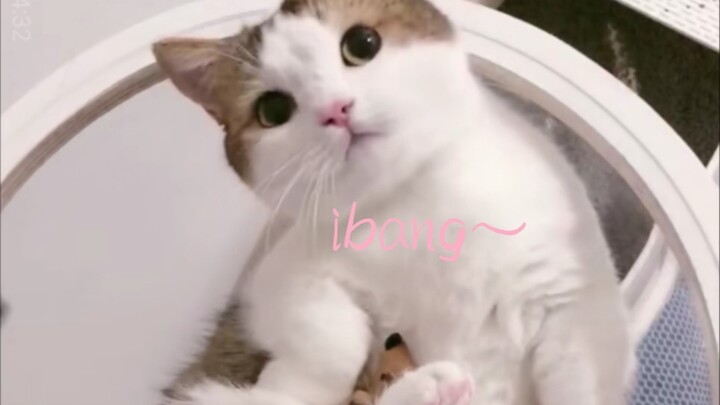 เสียงของบังบังน่ารักมาก!!