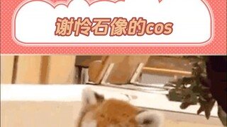 看到了谢怜石像的cos!