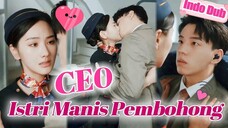 Perceraian dengan rasa sakit,Lima Tahun Kemudian CEO Kembali Balas Dendam Tapi Ketemu Anak Milik Dia
