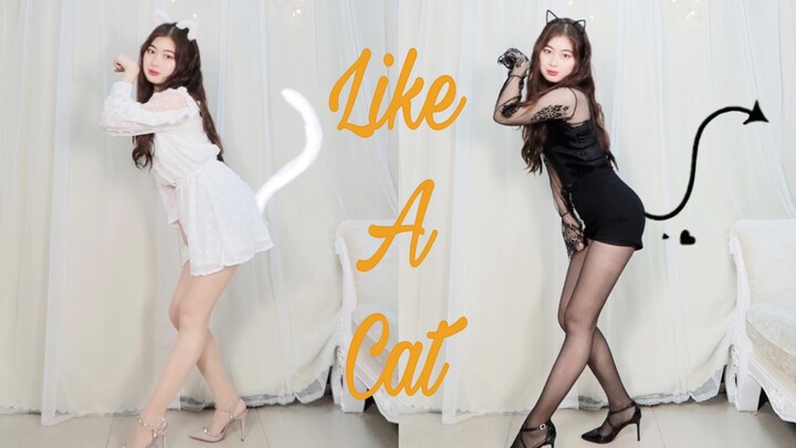 【fx】Dandanan sekali klik dari lagu lengkap Rourou Kitten AOA-Like A Cat | Layar vertikal bekerja den