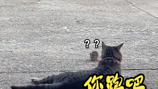 杰瑞：你搁这热菜呢？