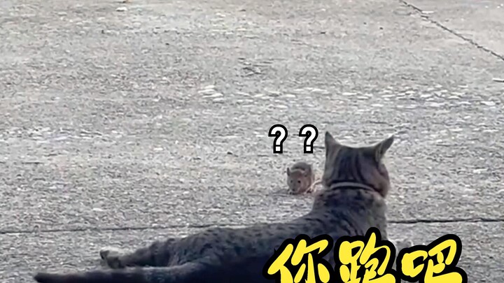 杰瑞：你搁这热菜呢？