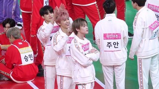 🐶🐰🐬 ثلاث حيوانات لطيفة تداعب شعر رؤوس بعضها البعض