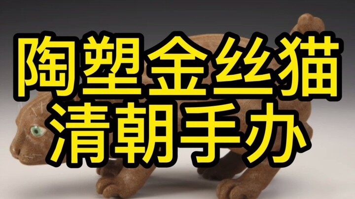 Kucing Kuno | Kucing ini nggak bakal kabur meski kamu usilin seenaknya