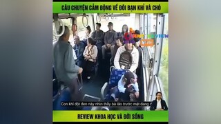 câu chuyện cảm động của chú chó và khỉ P1 mereviewphim nntreview2 reviewphim