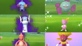 new shadow and shiny pokemon sneasel, Koffing and more added to the game!