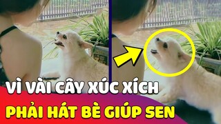 Vì vài cây XÚC XÍCH, chú Chó phải cắn răng HÁT BÈ giúp con Sen cùng giai điệu NGHỆ CẢ CỦ 🤣 Gâu Đần