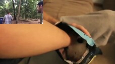 "Everyday Situations" 21: Crunchy Chips Parker Zippel's Reaction