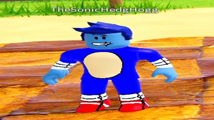 ROBLOX SONIC SPEED SIMULATOR