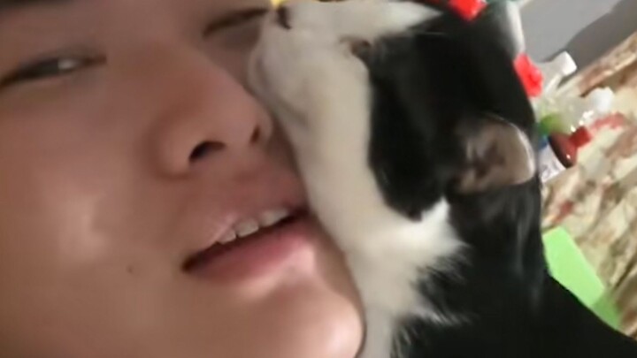 “This is probably why people keep cats!”