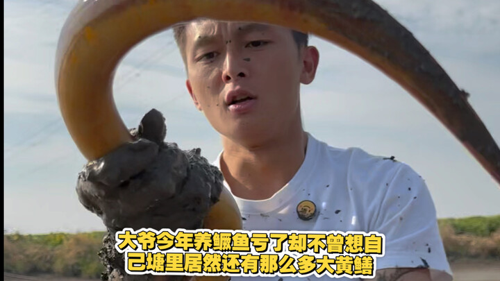 大爷今年养鳜鱼亏了，却不曾想自己塘里居然还有那么多大黄鳝！