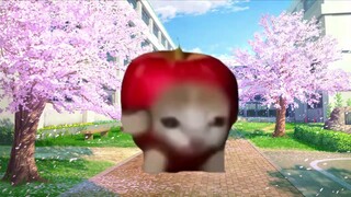 [Daging Masak] Sudah jadi penipuan... Fenomena bisa melihat diri sendiri sebagai pria tampan di cerm