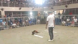 traditional cockpit arina pateros