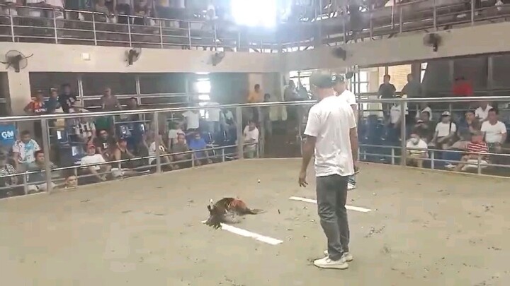 traditional cockpit arina pateros