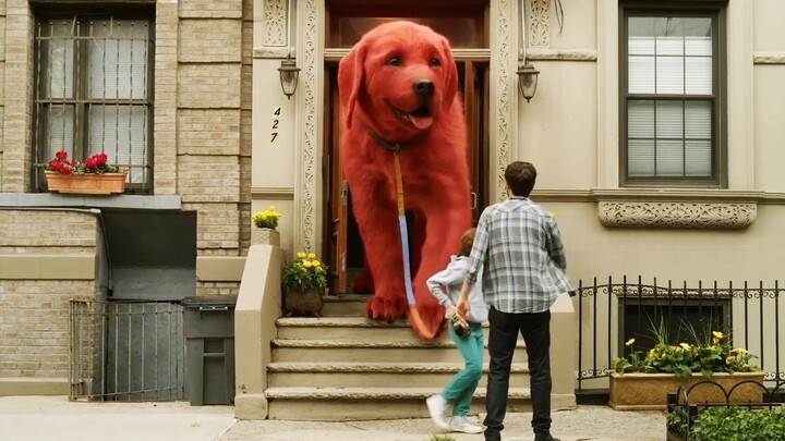 A puppy turns into a big dog overnight! The first trailer for the live-action version of "Clifford t