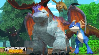 Our NEW DRAGON has COME HOME!