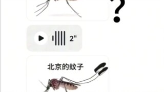 各地蚊子的叫声