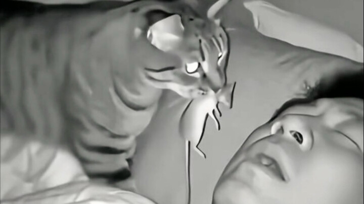 ما كان ألمي من أجلك عبثًا أبدًا!