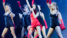黑长直红蔷薇!JISOO美国演唱会《LIAR》