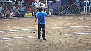 Wala sugat win