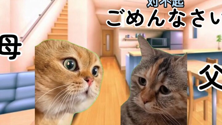 【熟/猫meme】猫家族的晚饭