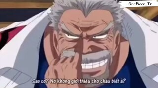 Khi băng mũ rớm biết gia phả nhà Luffy - Part 3