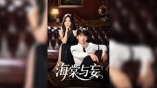 海棠与妄 Begonia And Delusion