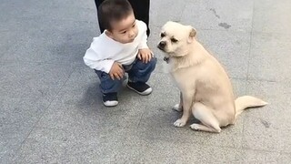 «العمر الذي تكرهه القطط والكلاب»