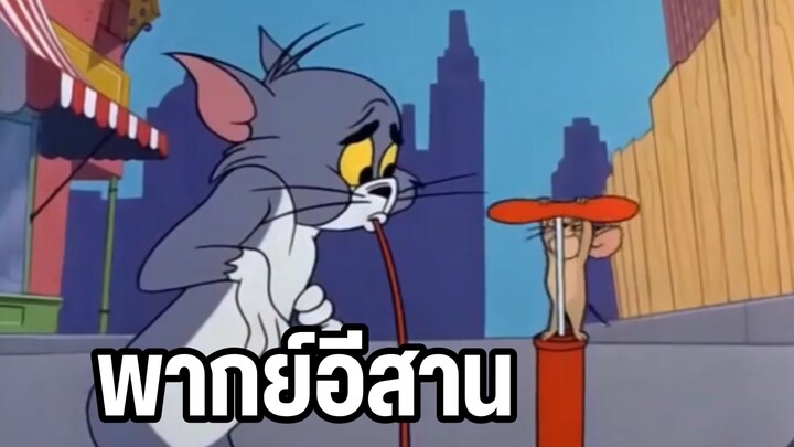 ทอมแอนด์เจอร์รี่ พากย์อีสาน ทอมผู้น่าสงสาร