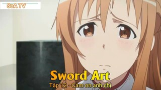 Sword Art Tập 12 - Cảm ơn anh chị