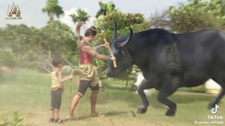 แม่ปลาบู่ 2568 2025