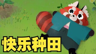【Sanren】Cute red panda "Aka" unlimited joy