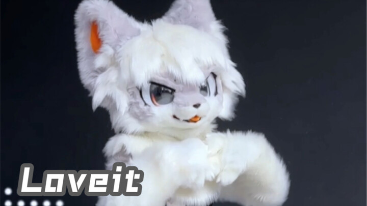 Plush Loveit☆【Fursuit Dance】