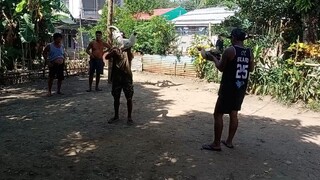 manok n badang 2