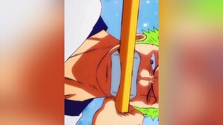 zoro roronoazoro wano onepiece op parati fyp foryou anime animeedit