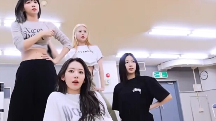 ［lesserafim］Về việc tôi thấy tập luyện còn đẹp mắt hơn cả concert