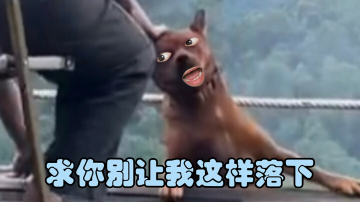 يا له من حساء حليب ثقيل، وداعًا يا حليب!