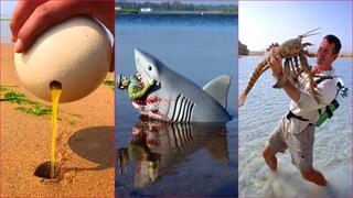 Catching Seafood - ASMR Relaxing (Catch Shark, Catch Fish ,Deep Sea Monster)