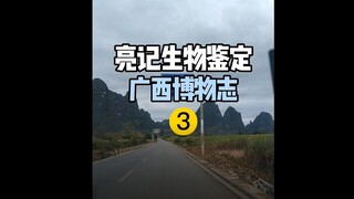 Sejarah Alam Guangxi Volume 3