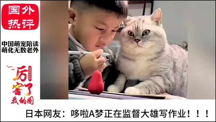 老外看中国萌宠陪主人学习 -它们偷偷进化了吗，像是严厉的老师！