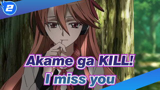 Akame ga KILL!|【AMV】I miss you，Chelsea_2