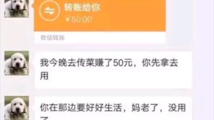 Episode 2: Mom’s Cooking Breaks Through, Sister’s Rich, Still Short by 100K—Sun Moon Lake: The Four 