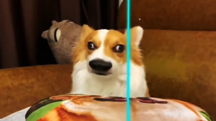 Ngồi chỗ nào cũng khiến người ta cười cả đời.