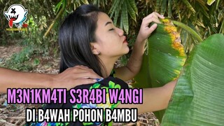 B3RGOY4NG DI B4W4H P0H0N B4MBU - Film Pendek Kehidupan