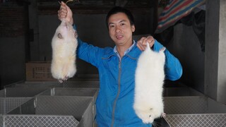 Huanong Brothers: Dingin sekali, periksa apakah tikus bambu masuk angin, dan taburkan jerami untuk b